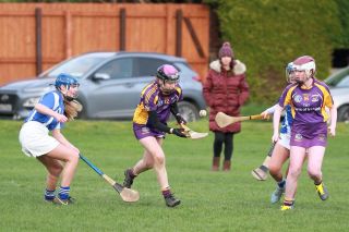 Good win against Celbridge for U16A Camogie team