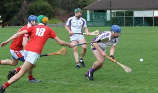 St Bridgets overcome AHL1 team in Senior Hurling League