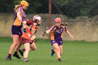 Good win for Senior Camogoie team against Raheny