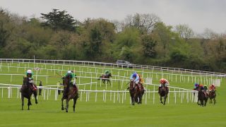 Kilmacud Crokes Hurling Punchestown 2019 Fundraiser