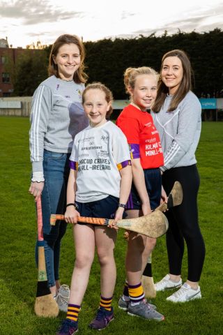 Bank Of Ireland KIlmacud Crokes MINI ALL IRELANDS ARE BACK !!