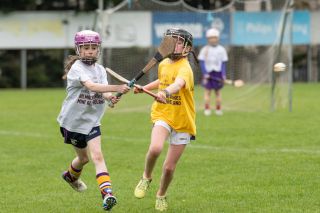 Photo's from the Camogie / Ladies Football BOI Mini all Irelands