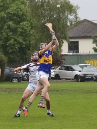 Senior Hurling B Championship 4th round  Kilmacud Crokes V Castleknock