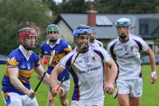 Senior Hurling B Championship 4th round  Kilmacud Crokes V Castleknock