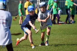 Photos from the BOI Hurling Mini All-Irelands