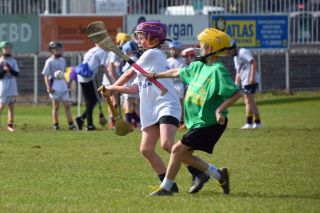 Photos from the BOI Hurling Mini All-Irelands
