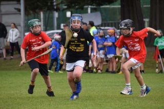 Photos from the BOI Hurling Mini All-Irelands