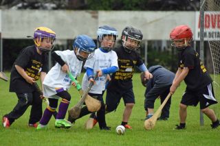 Photos from the BOI Hurling Mini All-Irelands
