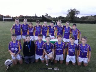 Kilmacud Crokes Under 12 Hurlers Camaint Winners