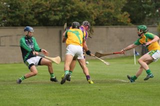 Senior A Hurlers through to Championship Quarter Finals