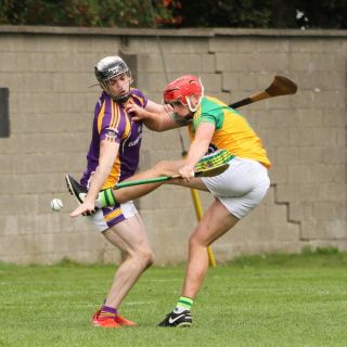 Senior A Hurlers through to Championship Quarter Finals