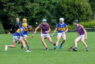 Minor C Hurlers Championship Game Versus Castleknock