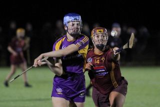 Senior Camogie Team win the Senior 2 County Championship Final
