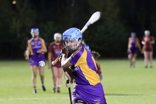Senior Camogie Team win the Senior 2 County Championship Final