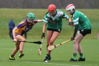 Biter end to Minor A Camogie Championship