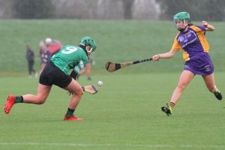 Biter end to Minor A Camogie Championship