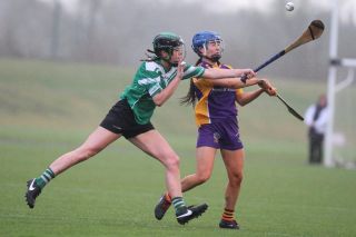 Biter end to Minor A Camogie Championship