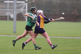 Biter end to Minor A Camogie Championship