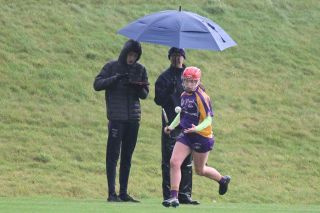 Biter end to Minor A Camogie Championship