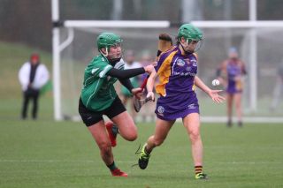 Biter end to Minor A Camogie Championship