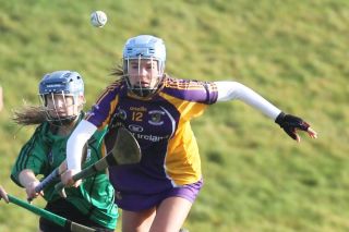 Biter end to Minor A Camogie Championship