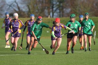Biter end to Minor A Camogie Championship
