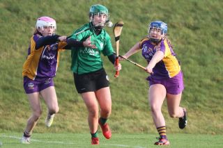 Biter end to Minor A Camogie Championship