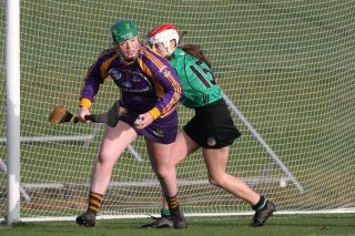 Biter end to Minor A Camogie Championship