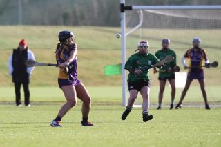 Biter end to Minor A Camogie Championship