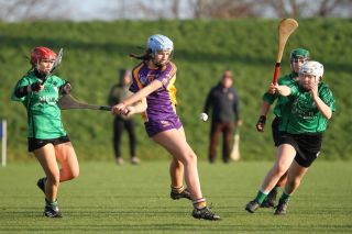 Biter end to Minor A Camogie Championship