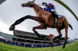 A Day at the Races on Sunday Feb 2nd - An Offer Kilmacud CRokes Members