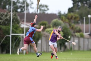 Junior B Hurling Challenge Matc