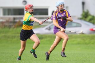 Senior 1 Camogie vs Faughs/Celtic