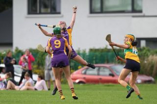 Senior 1 Camogie vs Faughs/Celtic
