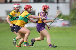 Senior 1 Camogie vs Faughs/Celtic