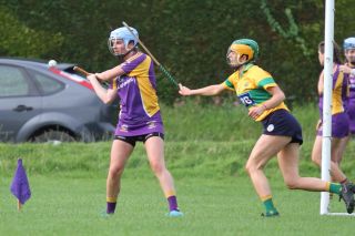 Senior 1 Camogie vs Faughs/Celtic