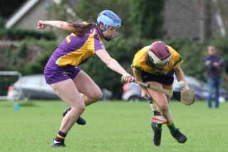 Senior 1 Camogie vs Faughs/Celtic