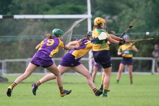 Senior 1 Camogie vs Faughs/Celtic