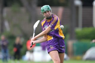 Senior 1 Camogie vs Faughs/Celtic
