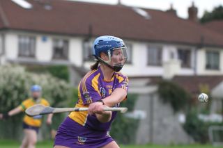 Senior 1 Camogie vs Faughs/Celtic