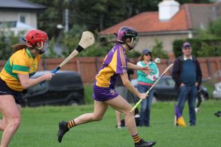 Senior 1 Camogie vs Faughs/Celtic