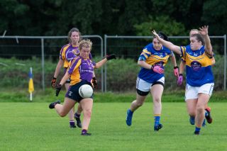 Kilmacud Crokes v Castleknock B LF Junior C Championship