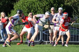Senior B hurlers vs Cuala