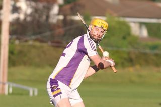 Senior B hurlers vs Cuala