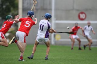 Good win for Minor A hurlers over Fingallians