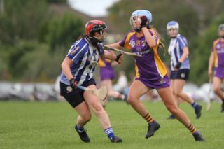 Senior 1 vs Ballyboden in Camogie Go-Ahead