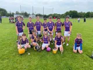 Under 11 Boys Hurling Away Trip  Clarinbridge