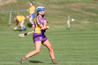 Senior Camogie team vs Na Fianna