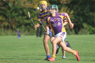 Minor E Hurling round 3 Championship