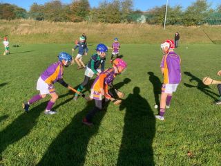 Crokes on Tour - U8s (2013) March on the Marble City